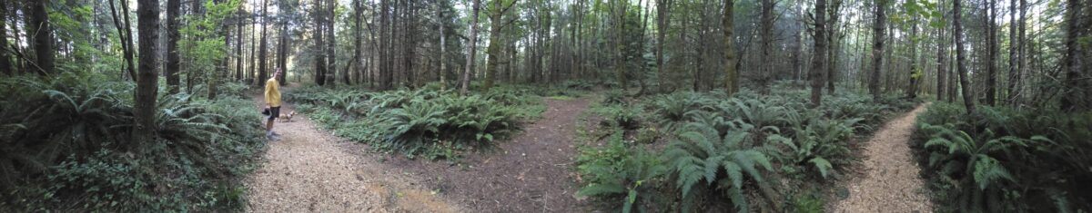 Evergreen Coho SKP Park – Chimacum, WA